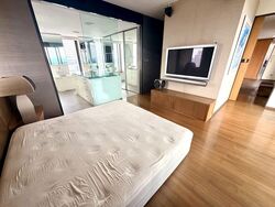 Newton Suites (D11), Apartment #592457871